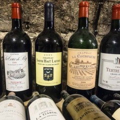 Vinsmagning – Oplevelsesgaven til vin nyderen der ønsker viden & sjov